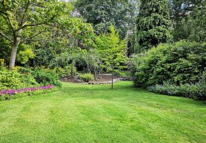 Optimiser l'expérience du jardin à Hauteville-sur-Fier